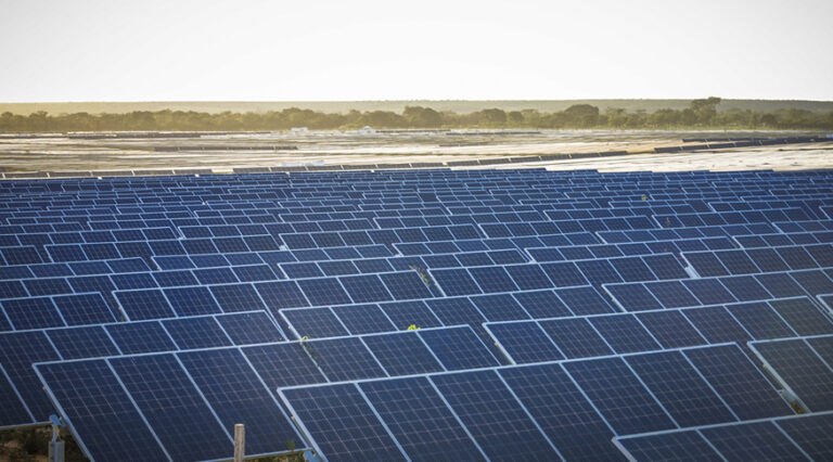 usina de painéis solares